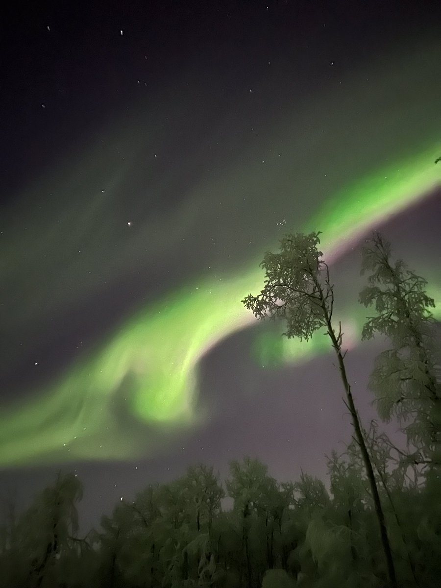 aramirez0217's tweet photo. @AuroraNotify north of Fairbanks! We have had green, purple, and pink! https://t.co/YJp5LpIeHx