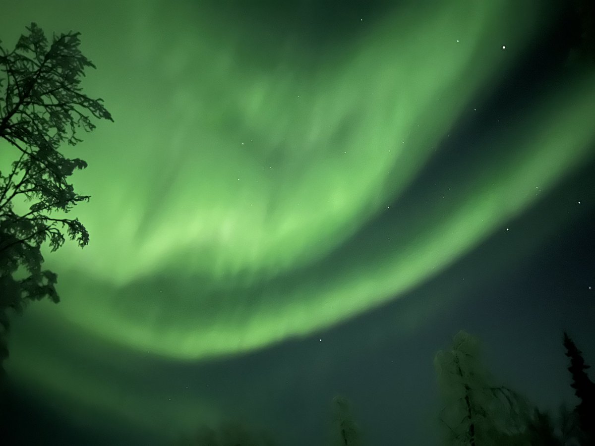 aramirez0217's tweet photo. @AuroraNotify north of Fairbanks! We have had green, purple, and pink! https://t.co/YJp5LpIeHx
