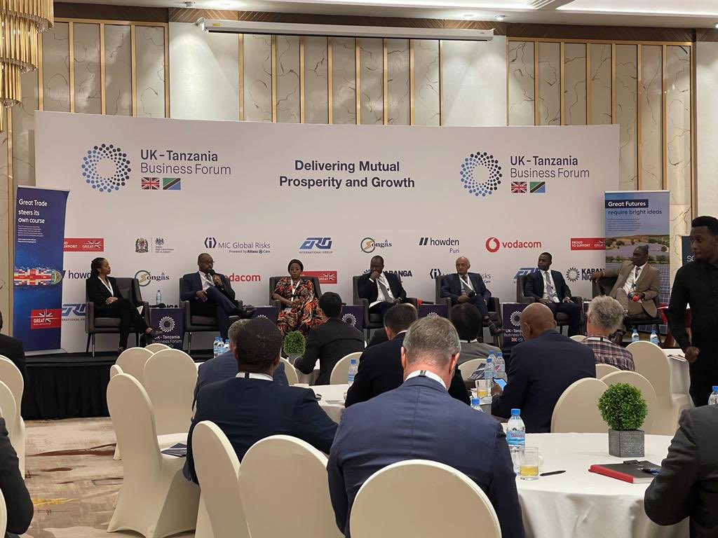 Deliberating on investments in #Tanzania. It’s encouraging to hear from keen investors in priority sectors: energy, water, agric &amp; finance. Partnerships &amp; increased reforms are key to fast track &amp; stimulate progress to deliver mutual prosperity &amp; growth for all. 🇬🇧🇹🇿