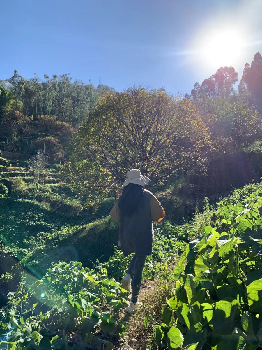 huermmli's tweet photo. #0871 秋日阳光不着灰尘地落了下来。没有尘，有点刺眼，却那样纯净地把温暖淋了个满身,让一个忧郁且沉浸于自己内心世界的人莫名中有了些欣慰。 https://t.co/GEt5Wag9b3