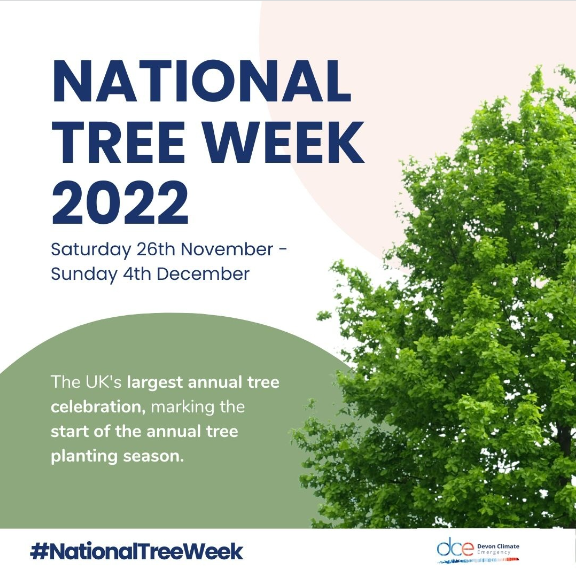 DevonLNP's tweet photo. This #NationalTreeWeek, many private landowners across Devon will each be planting 45 native trees that have been offered as part of @DevonCC #FreeTreeScheme!
This season, 6,750 trees will be planted under this scheme alone! #EmergencyTreeFund 🌳
@devonclimate @TheTreeCouncil https://t.co/4VINpUc0Zp