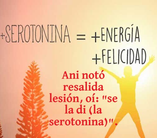 "Serotonina" (palíndromo)
· · · >