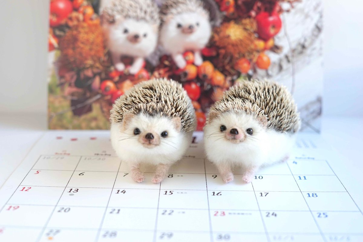 カレンダーの表紙のハリネズミちゃんたちは仲良しなので2匹セットでお
