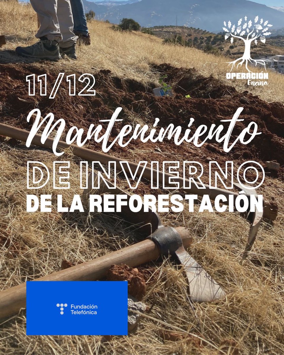 El próximo domingo 11/12 a las 10:00, tenemos mantenimiento de la #reforestación, es muy importante captar la mayor cantidad de agua de lluvia. Actividad organizada con @fundaciontef @telefonica Si quieres participar apúntate en el enlace: bit.ly/3Vi93wO