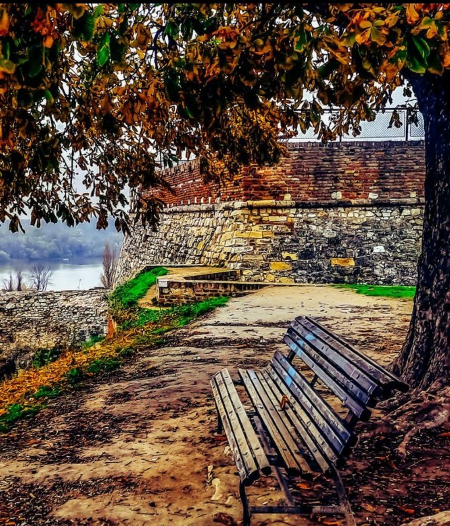 Beautiful autumn time in Belgrade.
Photo by Vili fon Kale 🇷🇸 
#beograd #Serbia #Autumn #autumnfall #autumnleaves #autumncolors #autumnstatement2022 #AutumnVibes #photooftheday #photographer #vilifonkale 🇷🇸 #beautiful
