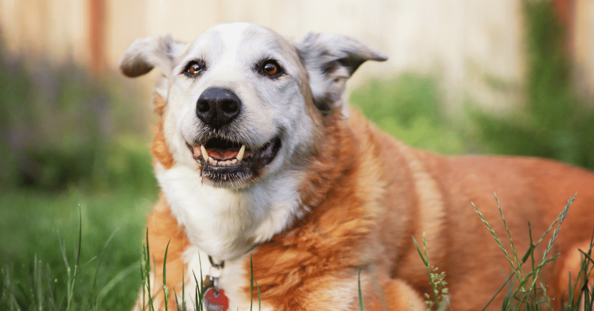 Aartjan van Erkel tweet media