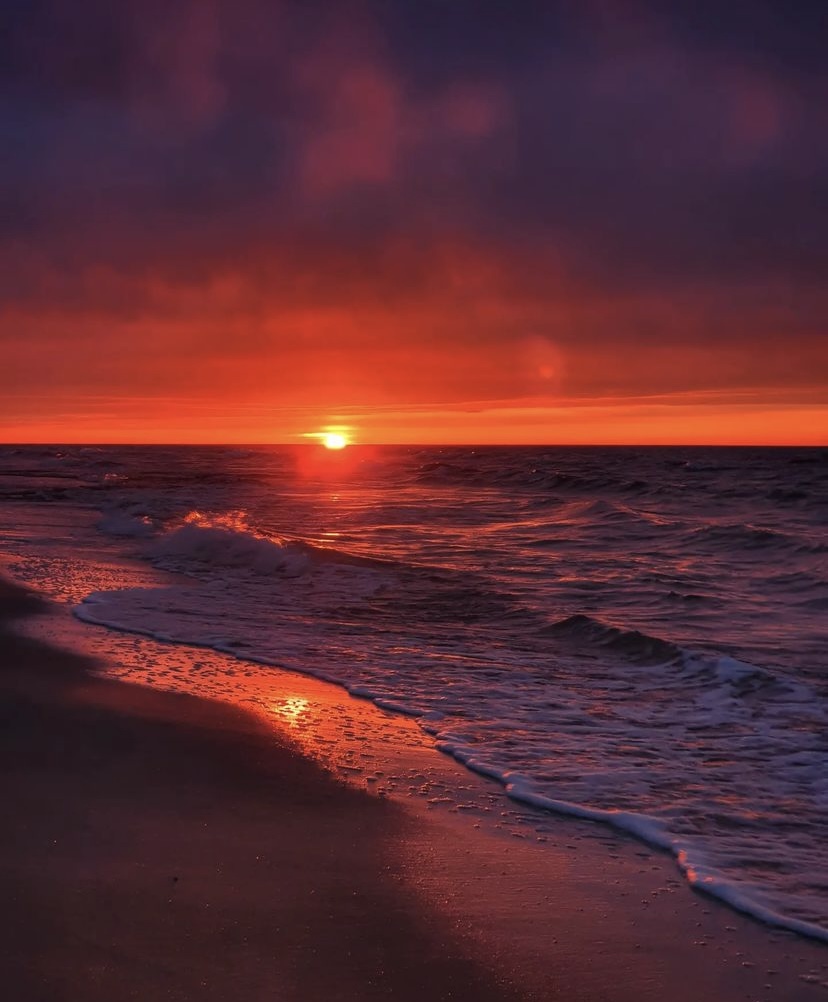 Get this sunset with just $3 #nftcommunity

Check out this item on OpenSea opensea.io/assets/ethereu… via <a href="/opensea/">OpenSea</a> 

#nft #nftart #nftshill #nftdrop #NFTphotographer #nftphoto #nftsales