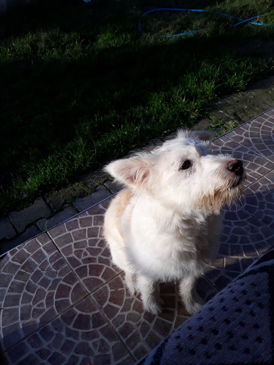 Herkese selam hayırlı gunler