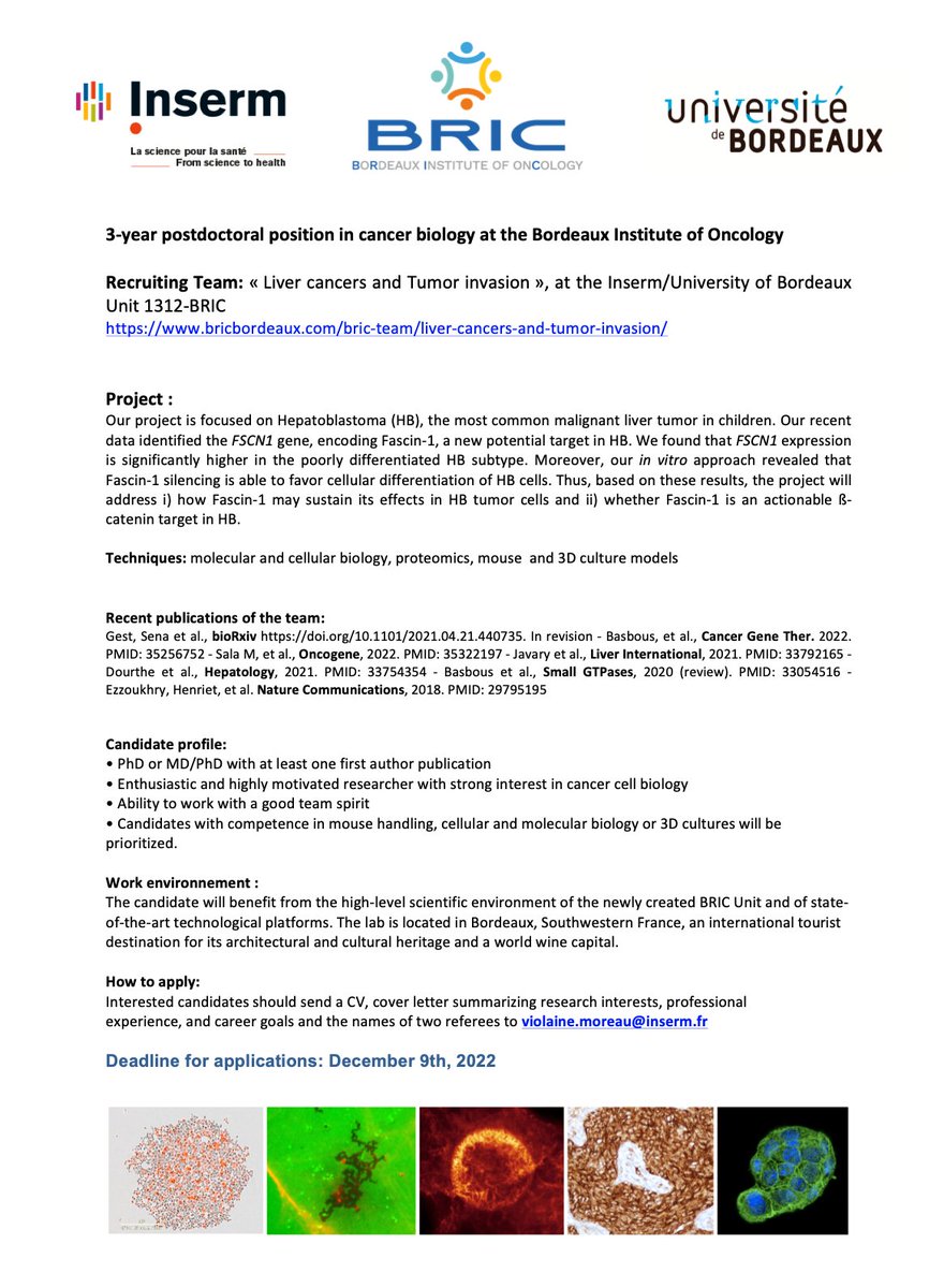 [Candidature]
📣 J-10 pour postuler 📅
L'équipe "Liver cancer and tumor invasion" du Bordeaux Institute of Oncology @BordeauxBric recrute un.e post-doctorant en #biologie du #cancer.

#recherche #étudiant #postdoc
#Bordeaux  #Recrutement
