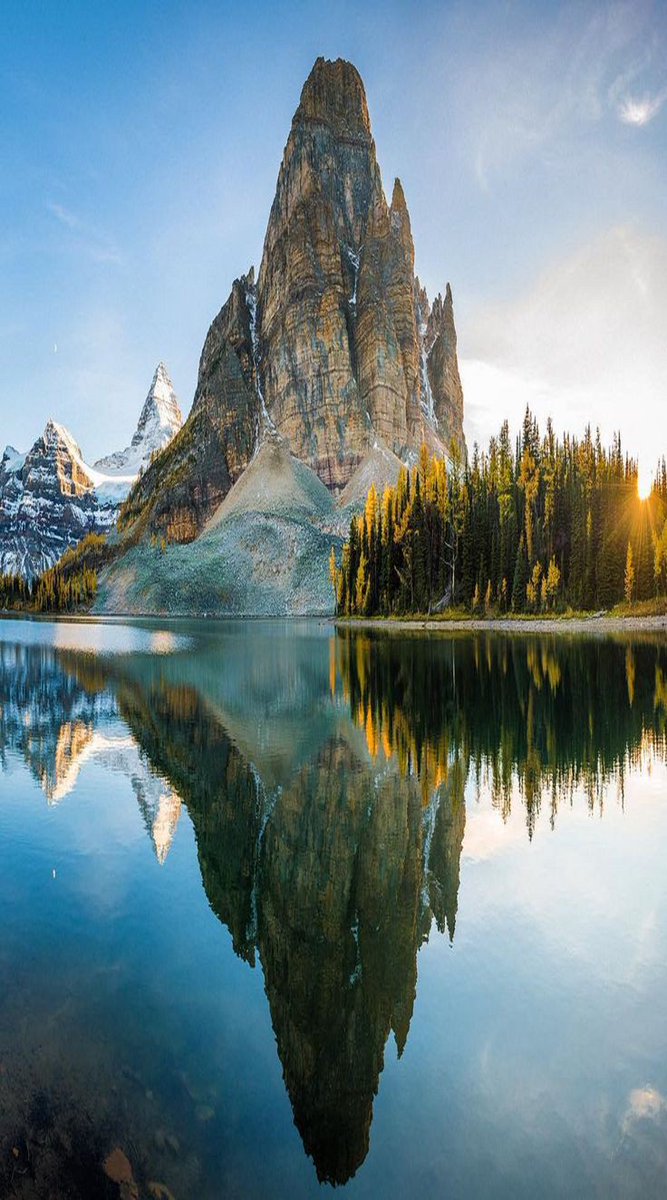 views_Icon's tweet image. Italy