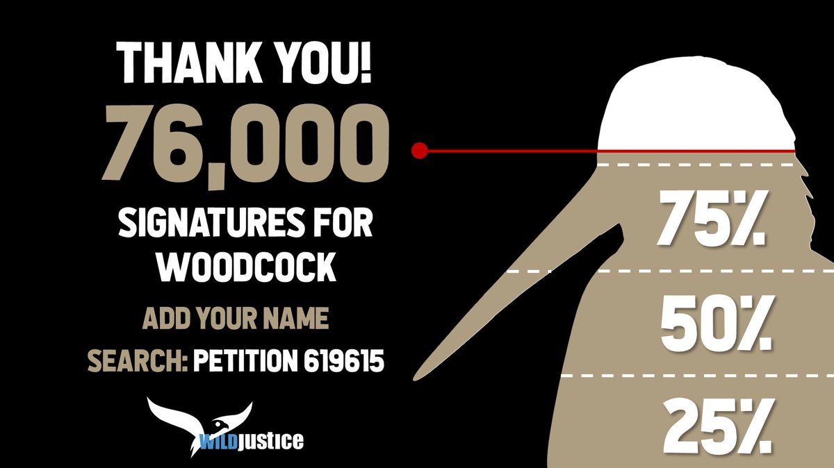 WildJustice_org's tweet photo. Overnight we reached 76,000 signatures on our petition, we're nudging ever-closer to 100,000! Keep spreading the word, please like &amp; RT!
https://t.co/oWEpuU0xjp https://t.co/TNS3I82RfM
