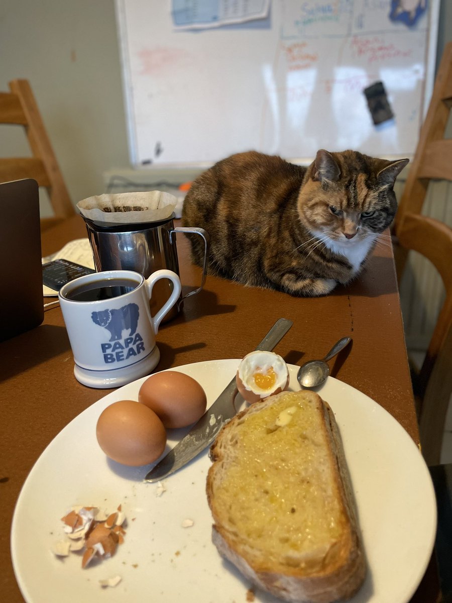 Post training breaky with the fuzzy one ☕️