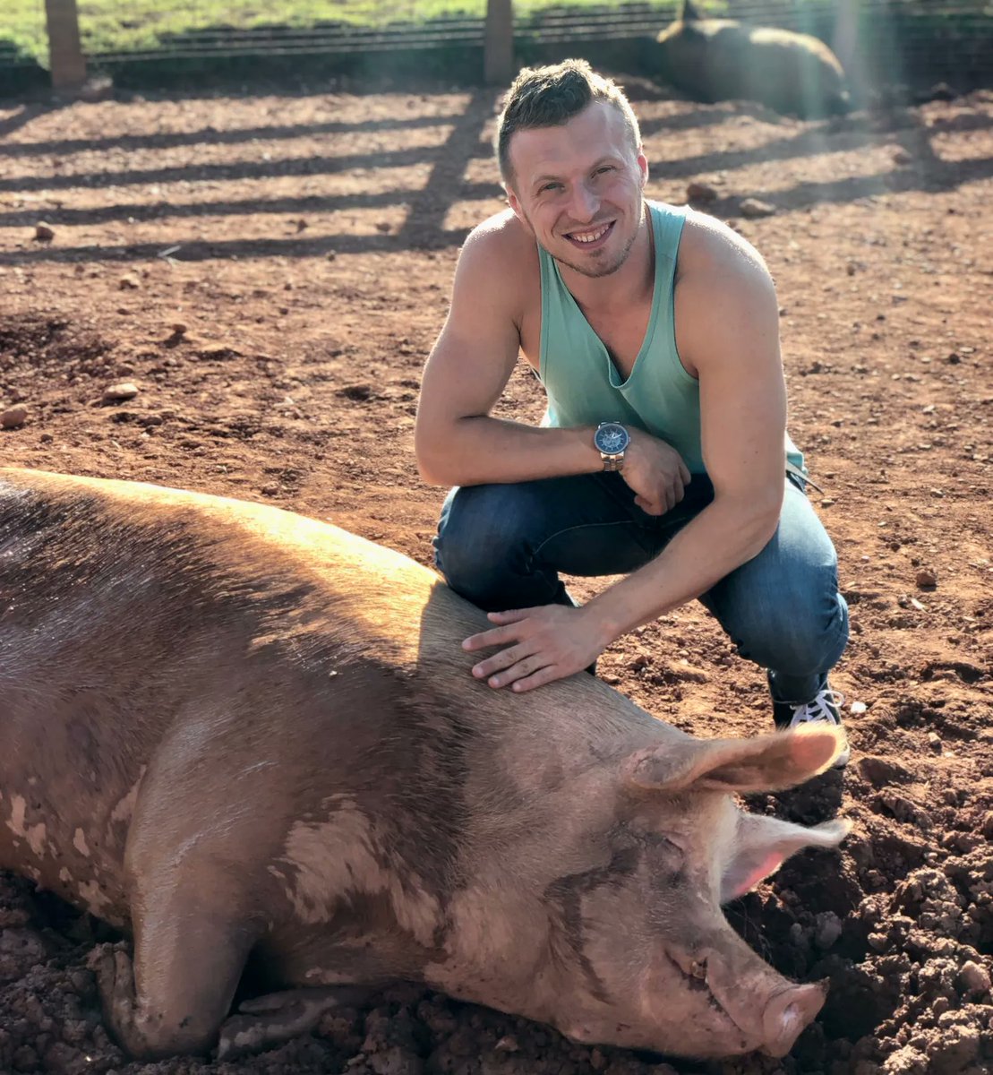 JohnOberg's tweet photo. Today is #GivingTuesday! You give to animals in your own ways. To me and to them, you're a hero. 🙂

Now, I ask you to extend those heroics to help *me*.

Pls #give on this Giving Tuesday by becoming a monthly supporter of my advocacy. Thank you! 🧡

👉 https://t.co/9ph6fHfIXI 👈 https://t.co/GYl3k94oZB