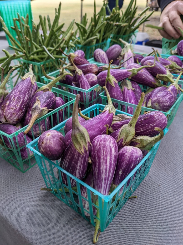 Partnering with us ensures everyone in our community has access to healthy foods that literally act as medicine. Consider giving to Forsyth Farmers’ Market on a recurring basis or making a one-time donation to ensure we can continue doing this work. 

forsythfarmersmarket.com/give