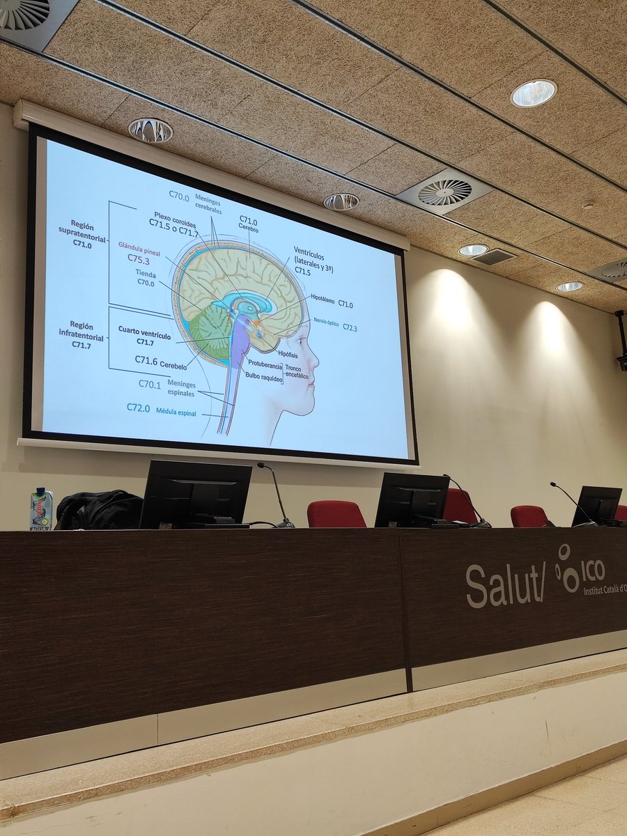 rc_Girona's tweet photo. Codificar correctament la localització exacte del tumor no sempre és fàcil 😅
@ICO_oncologia @rmarcosgragera
#anatomia #codificar #snc #tumor https://t.co/meYRTD1tFW