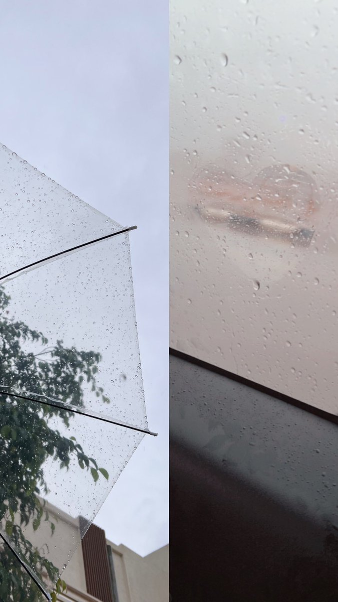 ASRXR's tweet image. صباح مُبهج، صباح مُمطر 🤍
#تبوك