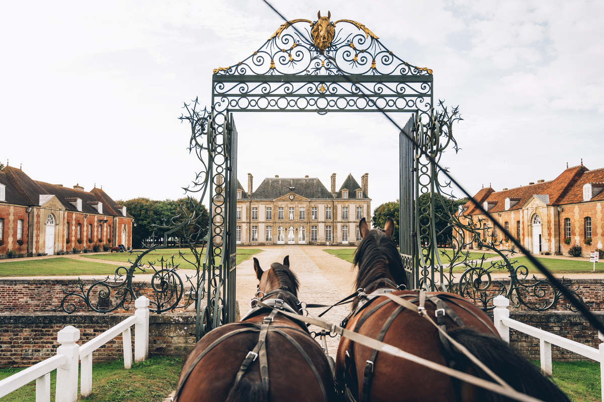 's tweet image. Vous êtes à la recherche d'activités pour un #séminaire ou une journée #teambuilding ? 

Découvrez les prestations organisées par le #HarasduPin :
✔️#spectacle privatif
✔️promenade en attelage
✔️visite guidée du Haras
✔️#soirée cabaret
✔️ateliers avec les #poneys (jeux en équipe)