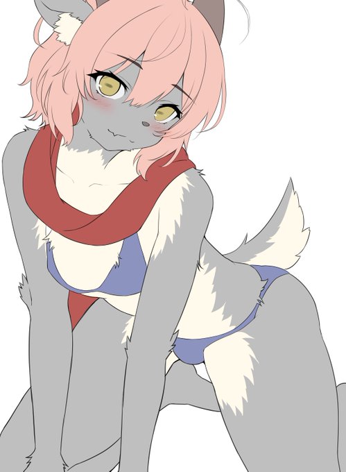 良い肉も竿も間に合わないけどせめてもも肉のwipだけは置いていきます🐑 