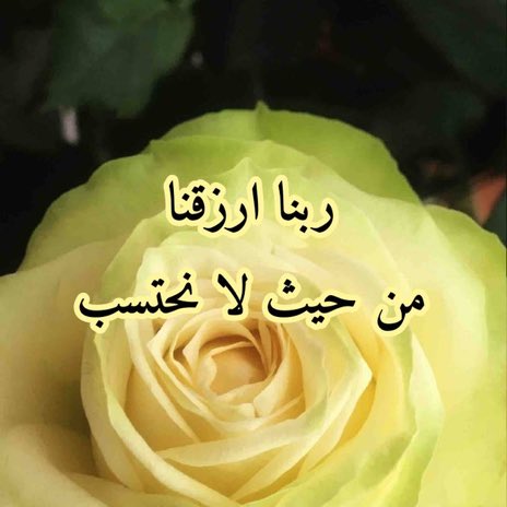 فهد بن علي العتيبي (@lrwqy5757) on Twitter photo 