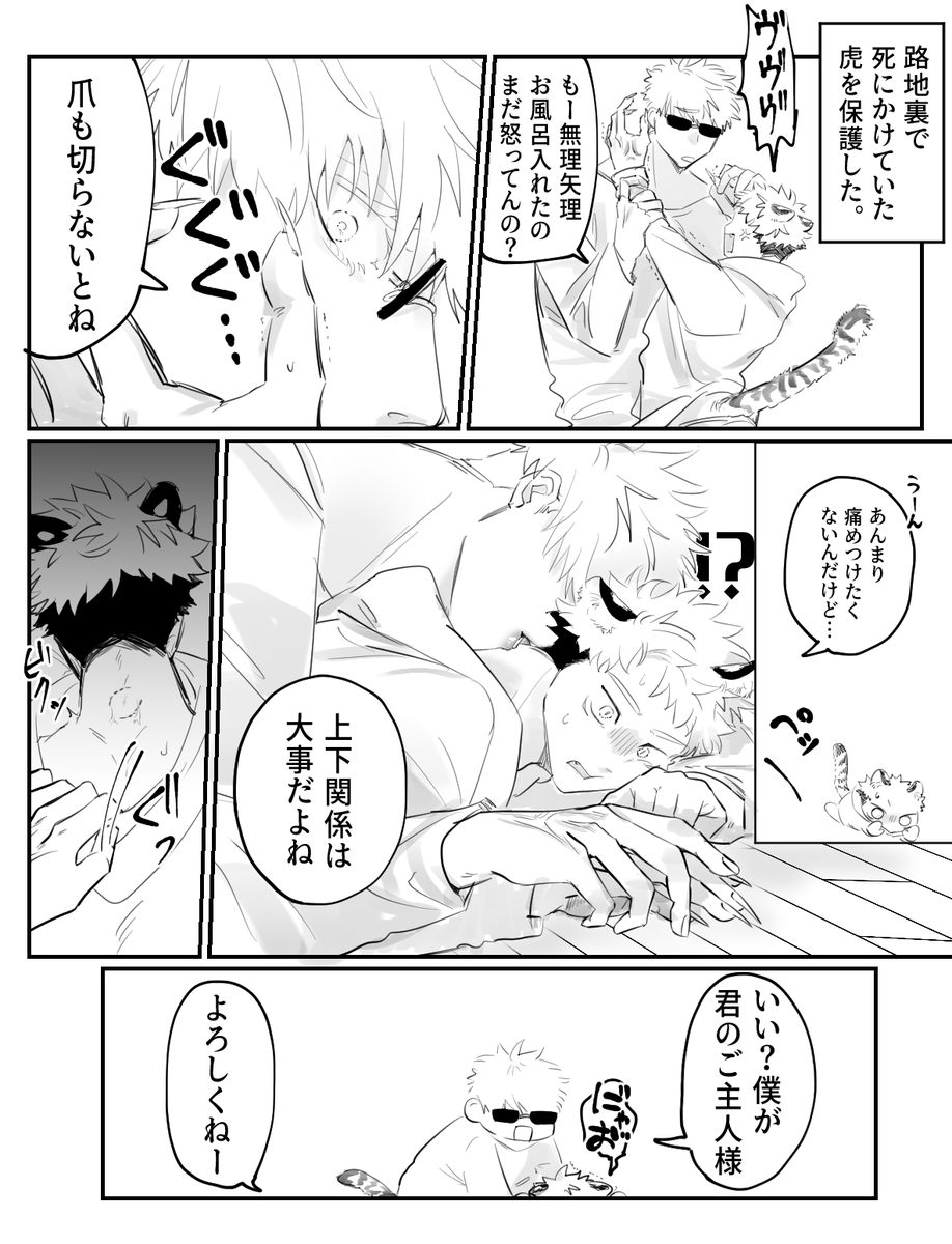 野良だった頃の🐯(五悠) 
