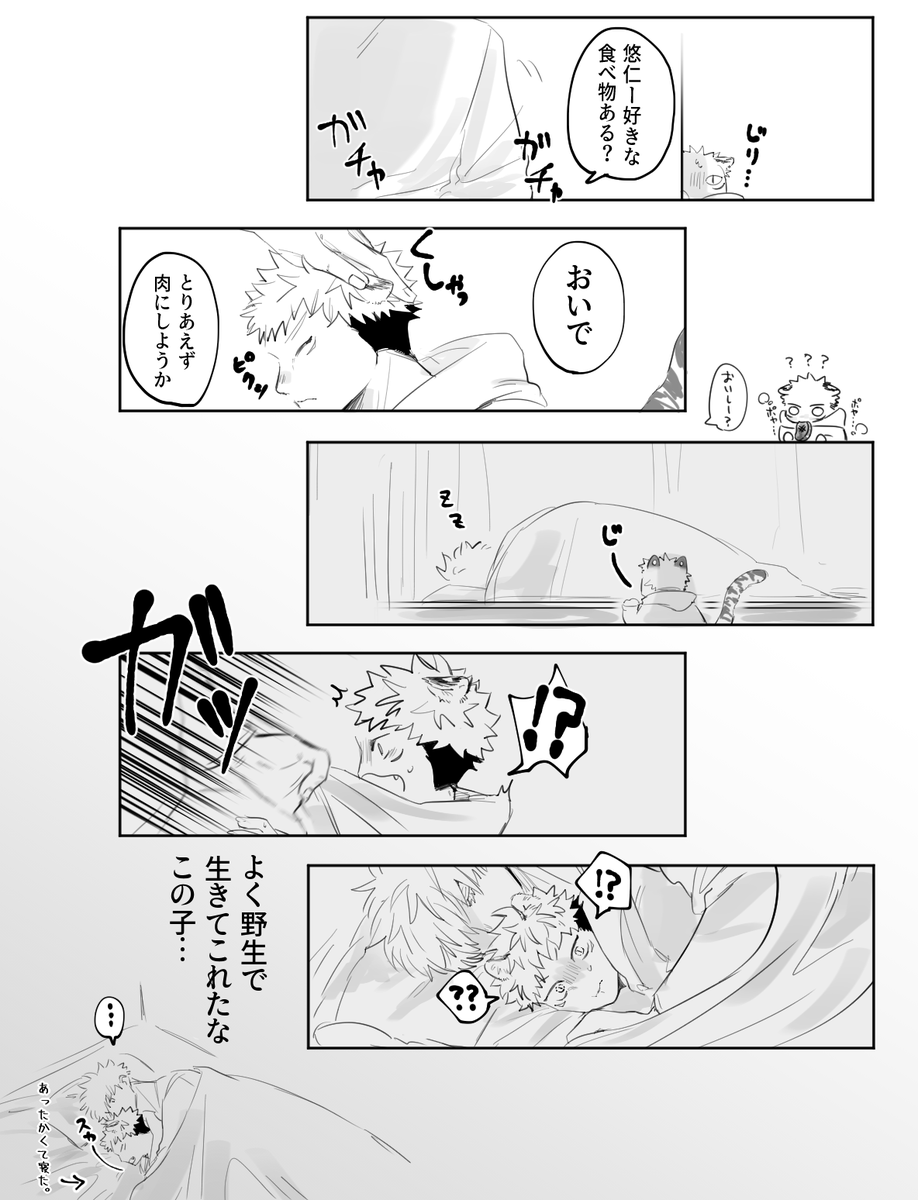 野良だった頃の🐯(五悠) 