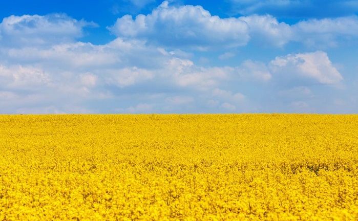 Our Council reiterates its full support to Ukrainian heritage defenders.
Following the launch of the Heritage Solidarity Fellowship for #Ukraine, with <a href="/GlobalHeritage/">Global Heritage Fund</a> &amp; <a href="/ALIPHFoundation/">ALIPH Foundation</a>, Europa Nostra will soon announce 2nd crowdfunding campaign in support of heritage defenders.