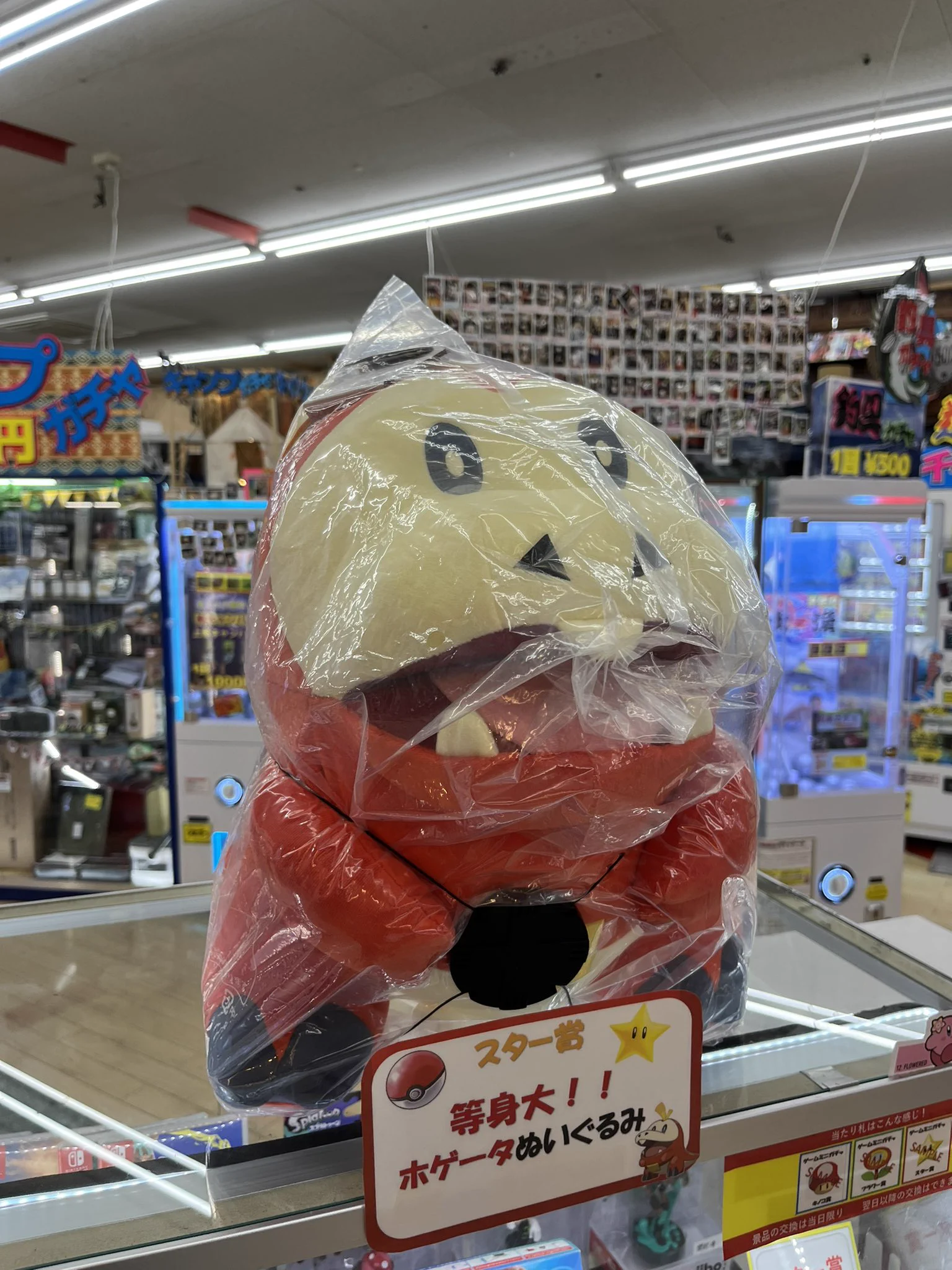 @noe_pkmn こんばんは。岩手県民ですが、北上市の中古屋さんに売られていましたよ。 
