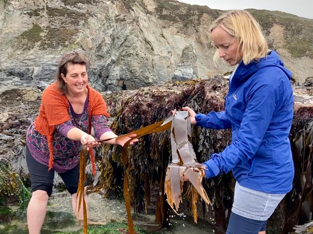 Jo Polack tweet media