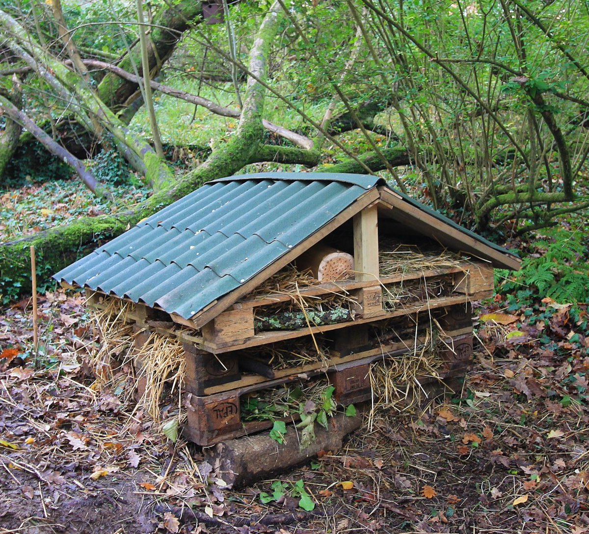 KESPreparatory's tweet photo. #Year3 have been focussing on what components make up natural habitats. They then worked to identify where and how improvements could be made to enhance habitats, before finally building a large insect hotel!
#StroudOutdoors #outdooreducation #StroudMSch #ForeverUndaunted https://t.co/v1ab4ts4eS