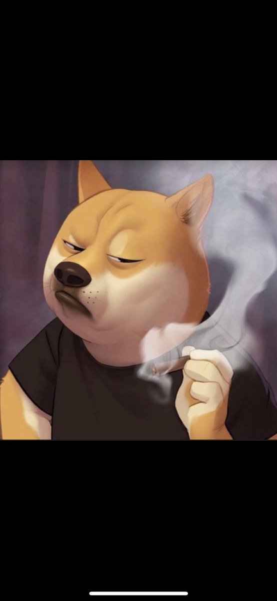 theboraz's tweet photo. @cz_binance 1 doge = 1 $ https://t.co/m8R7kVd11Z