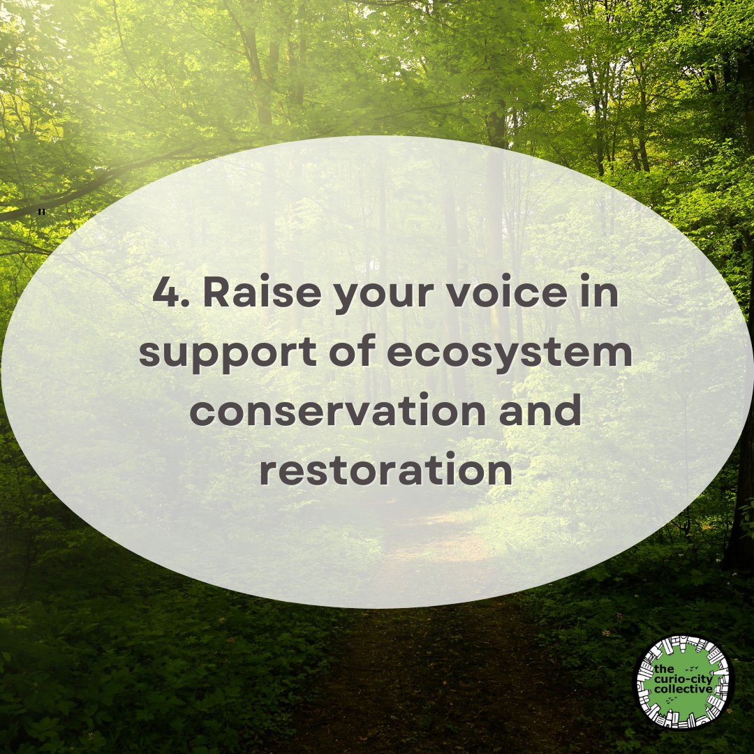 How can YOU help support and increase the wilderness in the city?

We have some thoughts but we want to hear from you!

Share your suggestions with us in the replies, we would love to hear :)