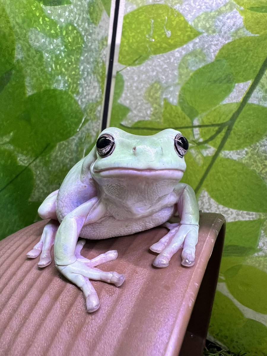 陶器肌だね(*ˊ꒳ˋ*)