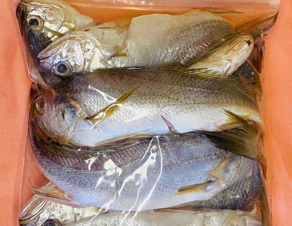 lamacameroun's tweet photo. Besoin de manger du frais + Besoin de manger du fait maison + Économie de temps en cuisine = NATY 🤷🏿‍♀️

✅ Haricot précuit 
✅ Poissons
✅ Okok
✅ Waterleaf
✅ Huile végétale 
✅ Viande frais
Etc

Faites la différence avec les entreprises NATY.

#agroalimentaire
#Naty
#lamacameroun https://t.co/WFLy21HWfu