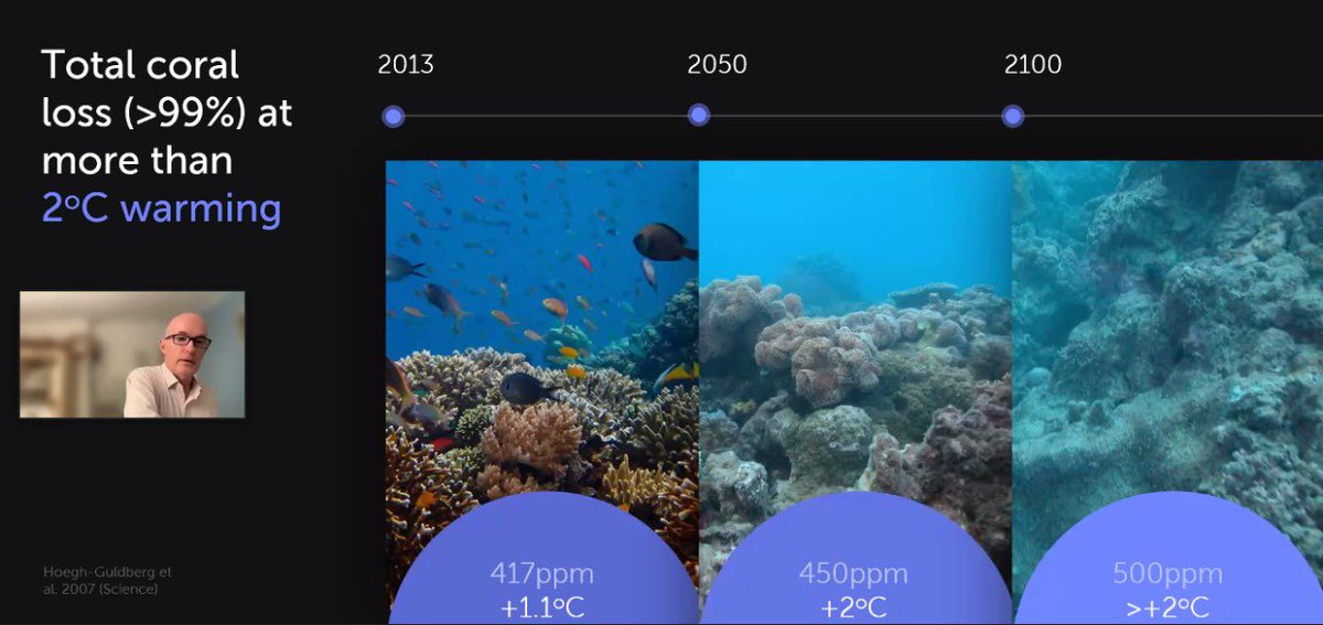 MarineLife2030's tweet photo. Can we save coral reefs?
Today Prof Ove Hoegh-Goldberg @oveHG talked about some strategies: reaching zero emission and nurturing refugia! #FrontiersForum #oceanoptimism #oceandecade https://t.co/vgskaImb5H