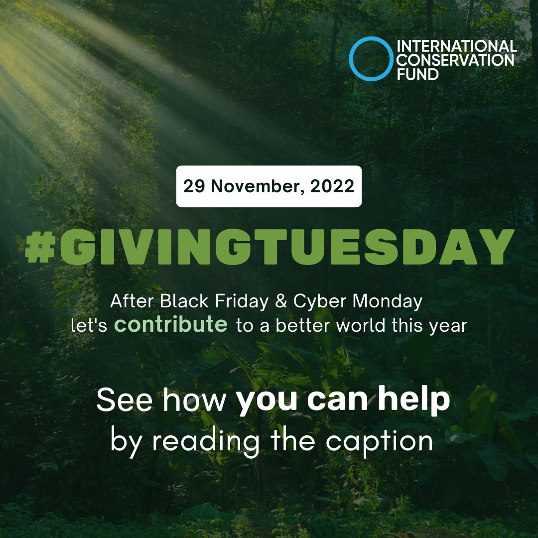 International Conservation Fund tweet media