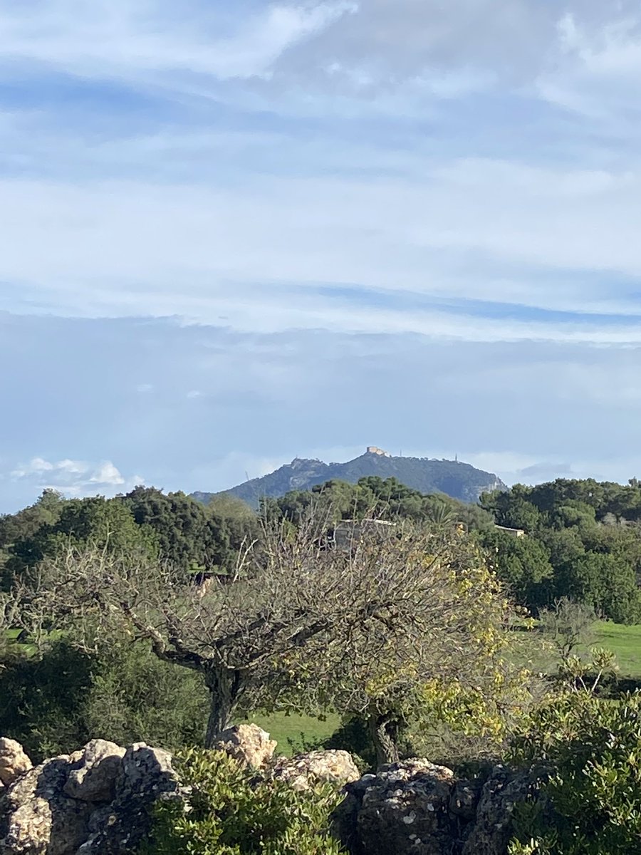 So much fun gravel riding in #Mallorca in short sleeves as Sun ☀️ Exploring@new routes…Amazing @ceepobike #rindo <a href="/trifanaticsesp/">Trifanatics</a>