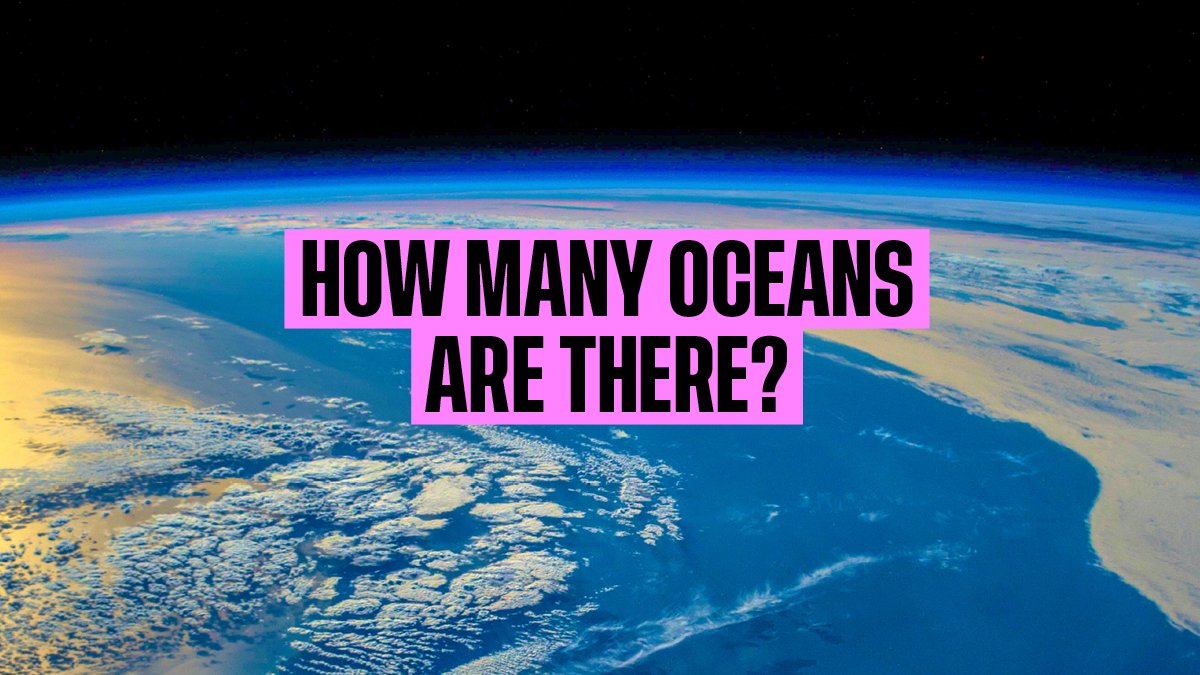 Only one and it needs your protection 🫵

Pledge to protect our ocean here: bit.ly/3AJnxNT and claim your exclusive free One Ocean educational poster.

#OneOcean #GivingTuesday #ProtectOurOcean #OceanAction #ActionfortheOcean