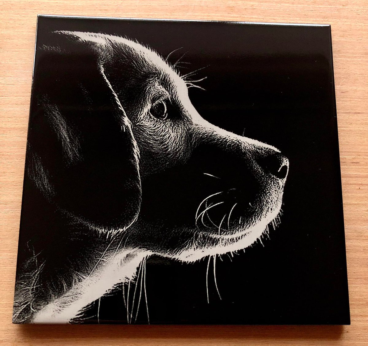 SculpfunTech's tweet photo. 😜"Starting to understand my S9 more and improve my white tiles now."
Donna Morris (FB) did another project for her pet again. 
👉https://t.co/7Vk7xJjeYj

#sculpfuns9 #sculpfunlaser #laserengraver https://t.co/bF7BFLERvC