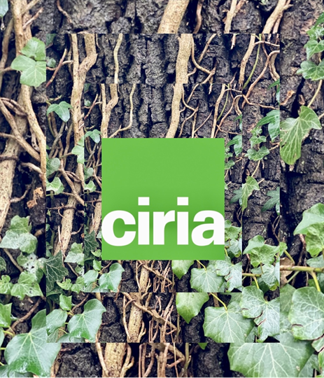 CIRIAupdates's tweet photo. We had a fantastic turnout for yesterday's "Nutrient neutrality: issues, impacts and solutions"  Webinar! Why not learn more about challenges at the forefront of construction and join one of our following events? Our events can be found here: https://t.co/XQll0Hvvj1  #Webinar https://t.co/KT5WxzBftG