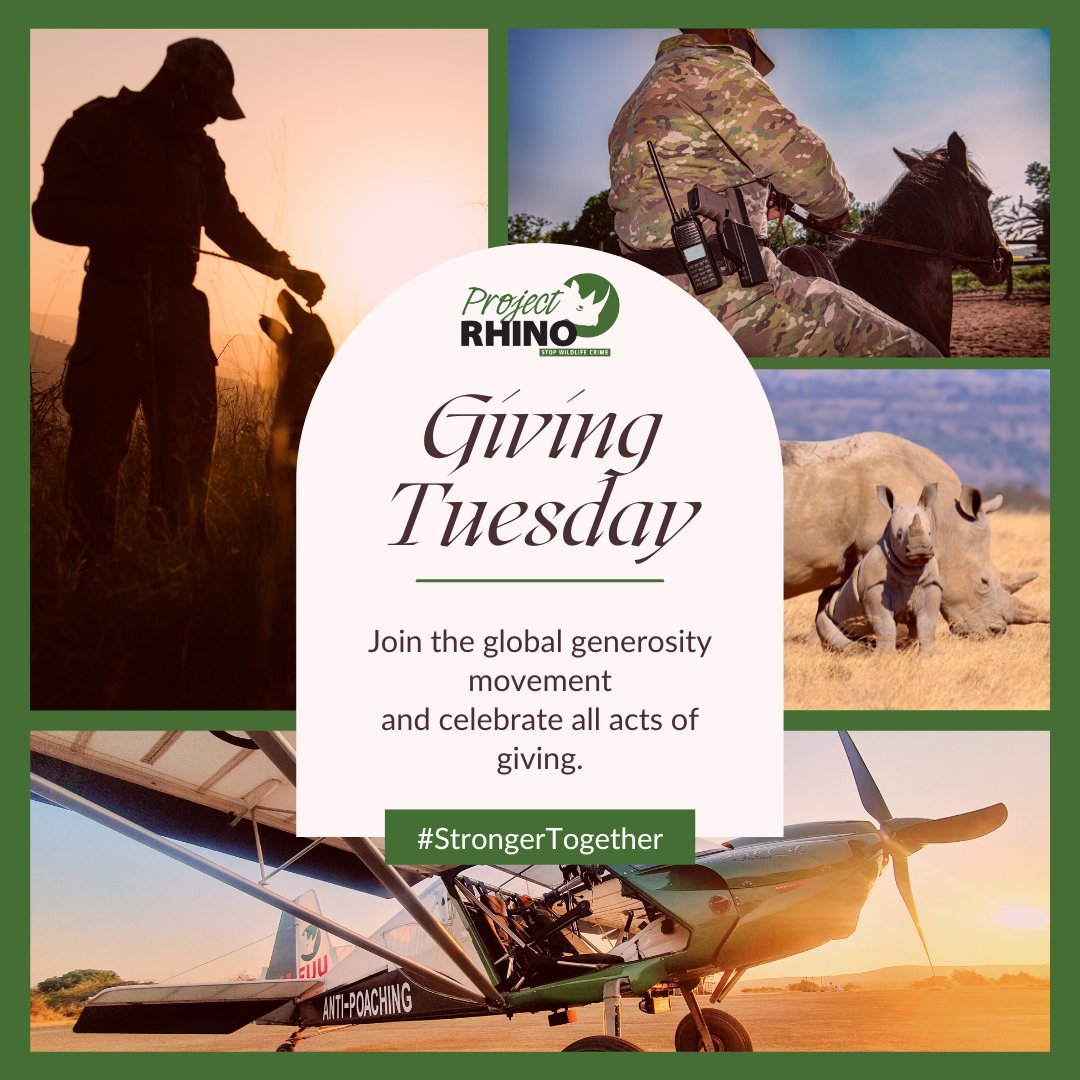 African Conservation tweet media