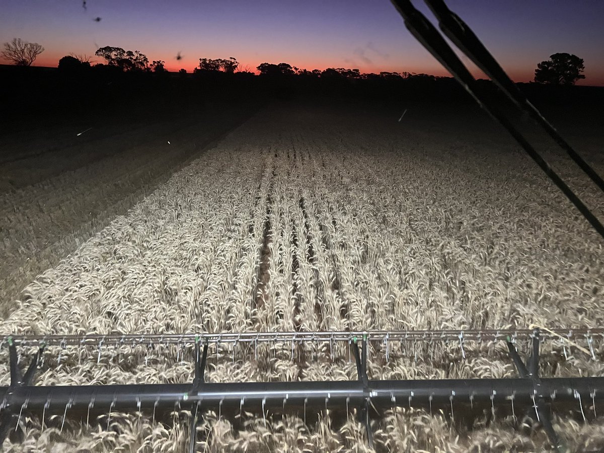 Barry Haskins tweet media