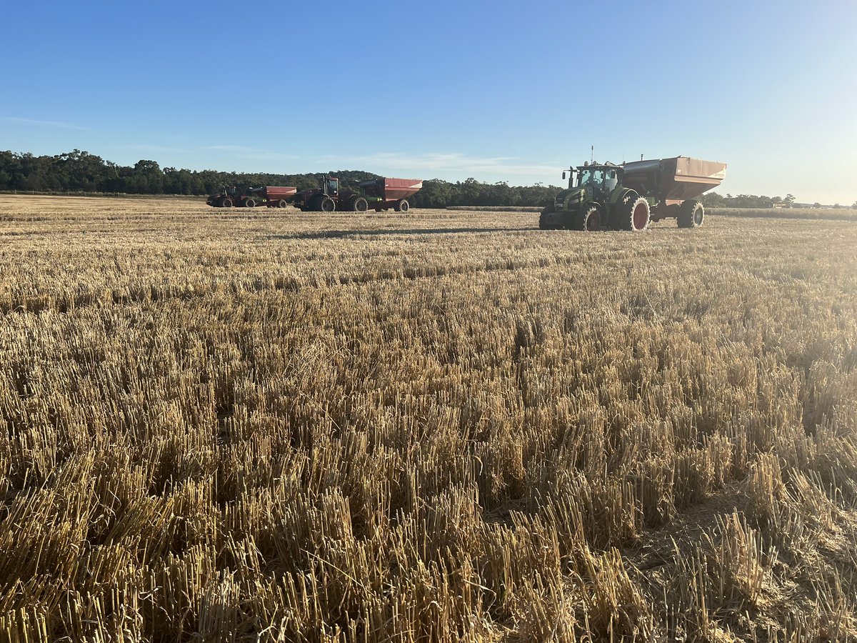 Barry Haskins tweet media