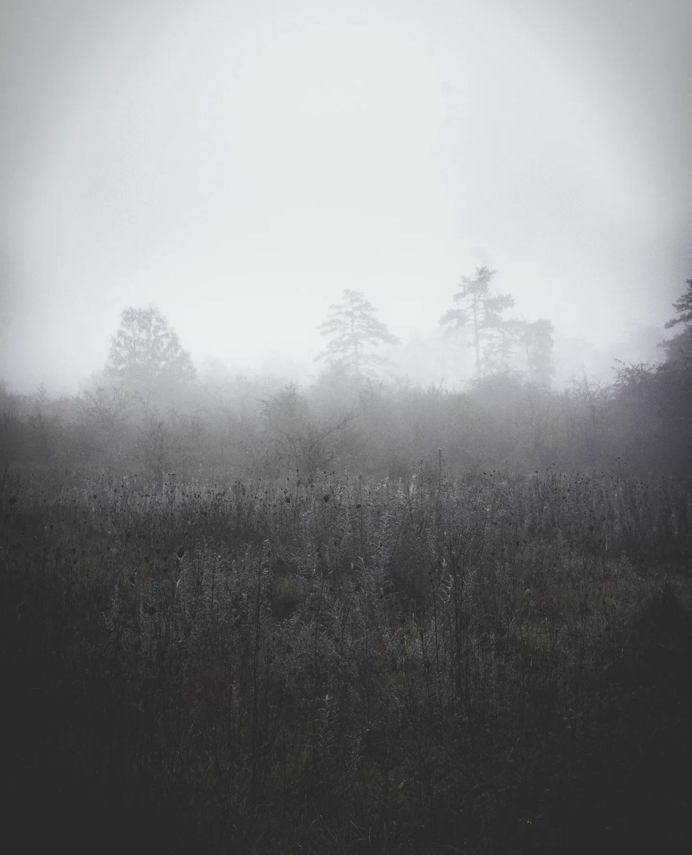 jnewfl's tweet photo. “Sorrow is better than laughter, for by sadness of countenance the heart is made glad.” #Ecclesiastes #photography #PicNotMine #Coffee https://t.co/HGQRQhJkZE