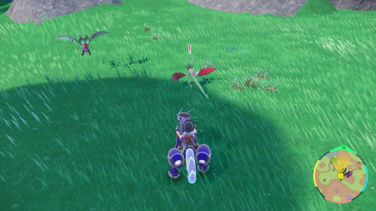 6 shinys el dia de ayer :D #PokemonEscarlataPurpura #NintendoSwitch