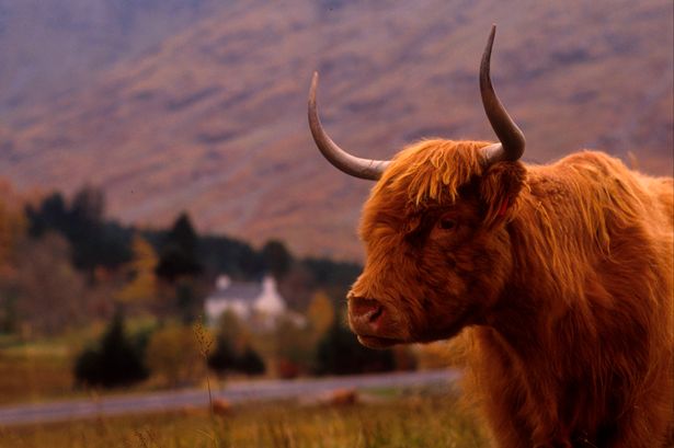 AnarchyCoo's tweet image. MEEEEE! WE WILL ONLY BUILD A SOCIAL BASE OF POWER BY WORKING WITH PEOPLE TO DIRECTLY IMPROVE THEIR LIVES!