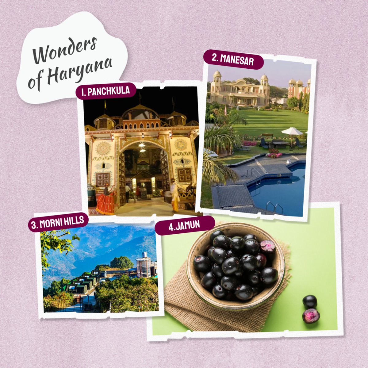 ResveraWinery's tweet photo. #Haryana are you ready to dive into the tantalizing aroma of Real Jamuns?
Be ready with your glasses, we are on our way with the wine!
.
.
#resvera #resverawinery #wine #jamunwine #jamunfruit #fruitwine #haryana #Gurgaon #delhi #noida 
#winelovers #jamun #WorldsFirstJamunWine https://t.co/QEo5a3cGgG