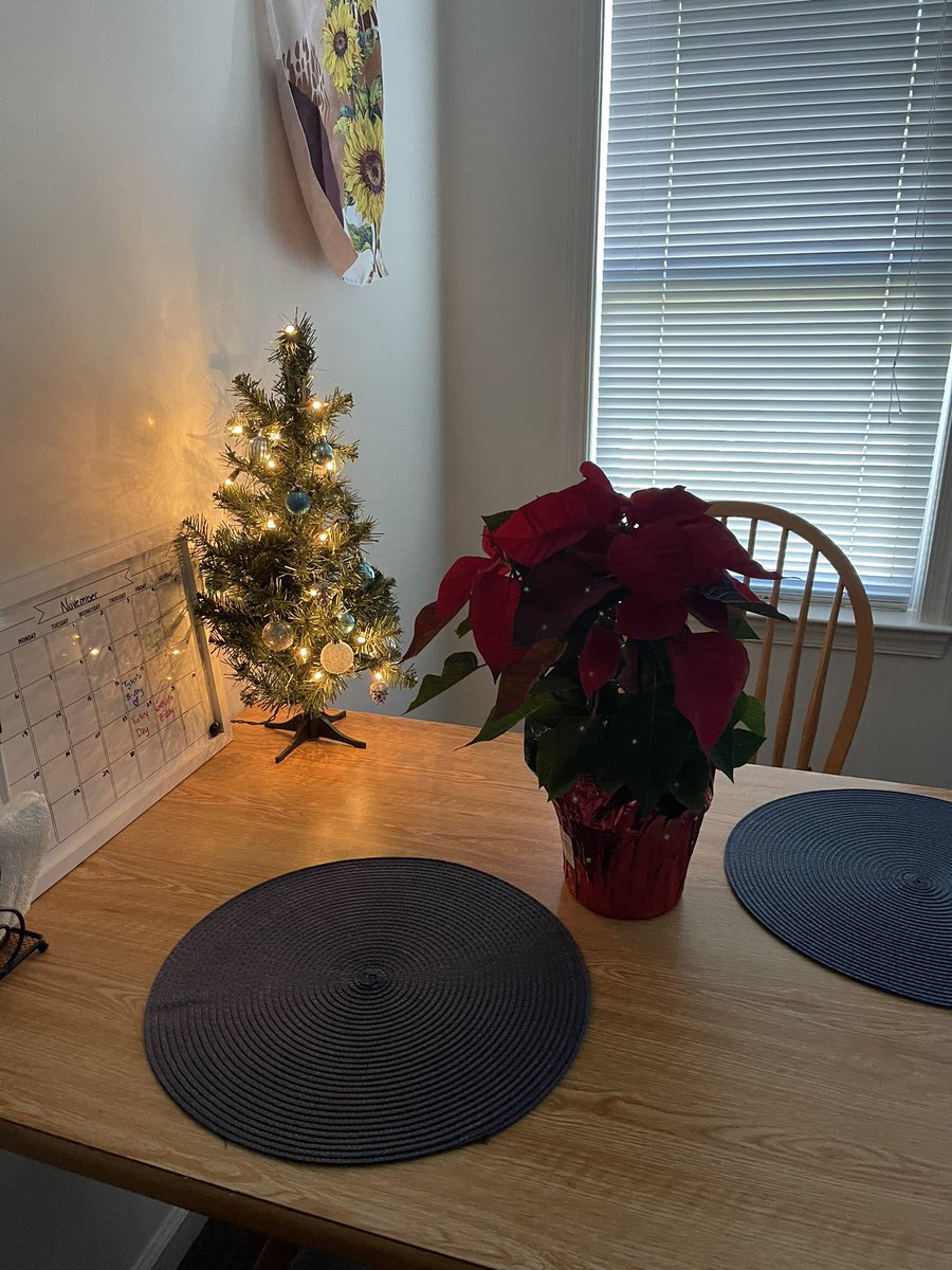 acaptainslife's tweet photo. finally making it festive in my apartment and i couldn’t be happier :)) only thing getting me through these next two weeks! #bffr #cnusocialmedia https://t.co/2soP0K6PsE