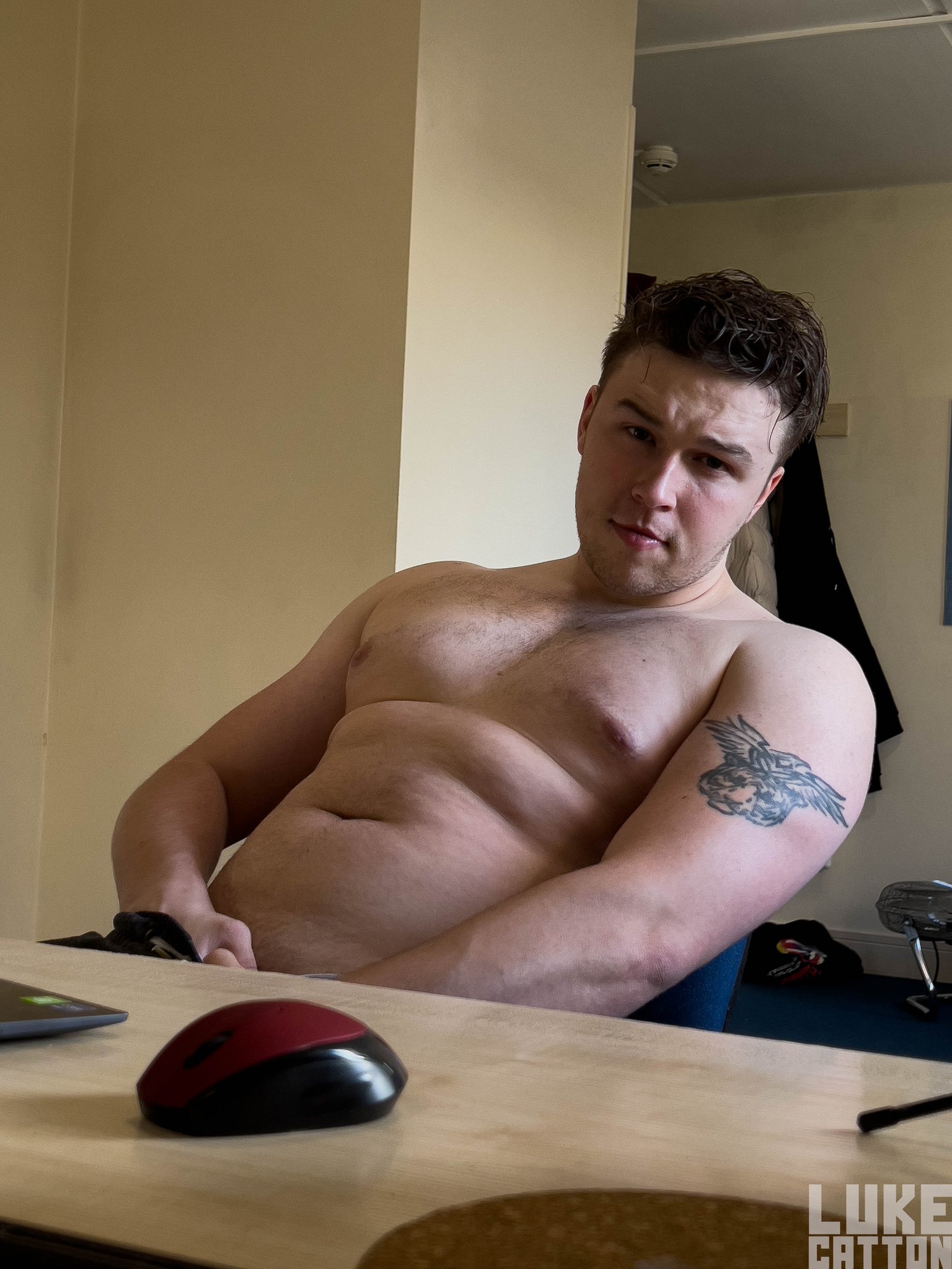 Luke Catton on X: under the desk. now. t.coZSReRP9H08  X