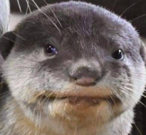 cuando te pones a pensar que empezamos otro año en breves #noestoyready