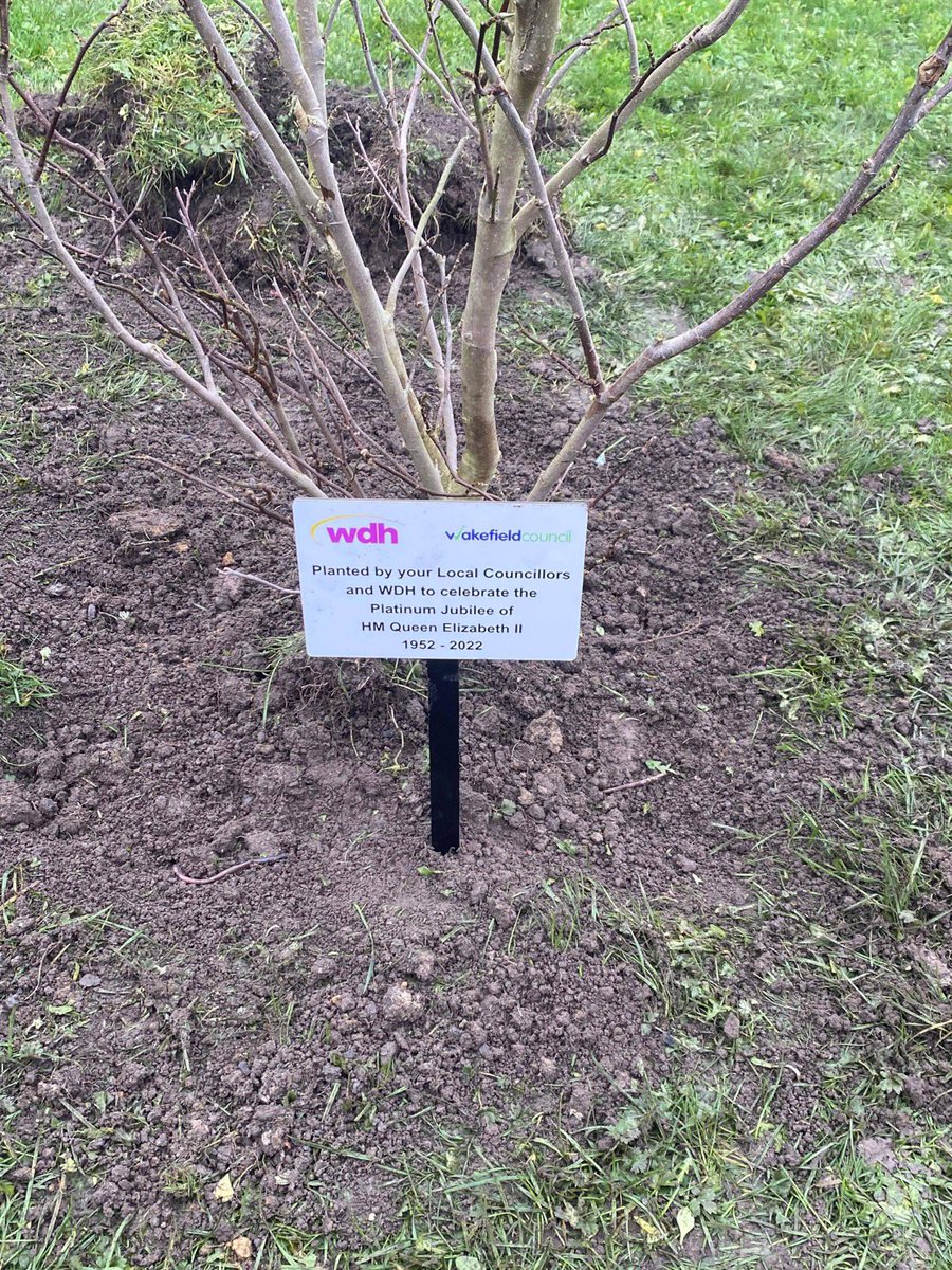 Earlier today myself and @matthewmorley7 planted a magnolia tree at the Bevin Centre in Outwood to commemorate her late majesty the Queens seventy year reign. Our thanks to WDH, Move Ahead and former Cllr Jacqui Williams for organising.